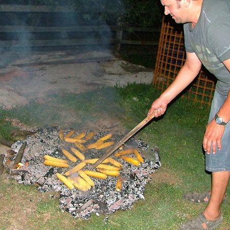 Villa Tourist Farm Pri Martinovih Krška Vas Esterno foto