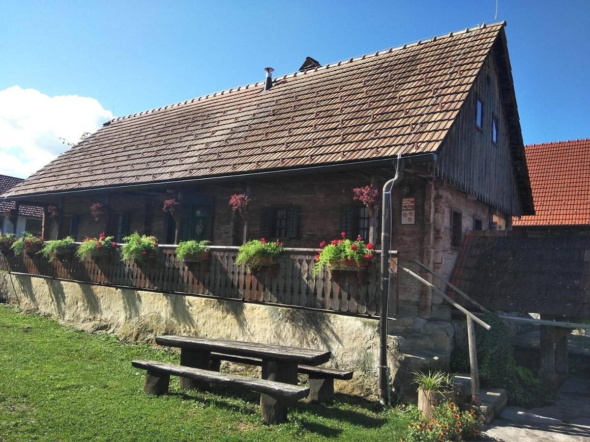 Villa Tourist Farm Pri Martinovih Krška Vas Esterno foto