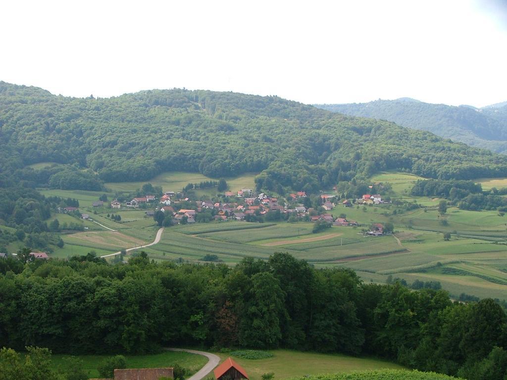 Villa Tourist Farm Pri Martinovih Krška Vas Esterno foto