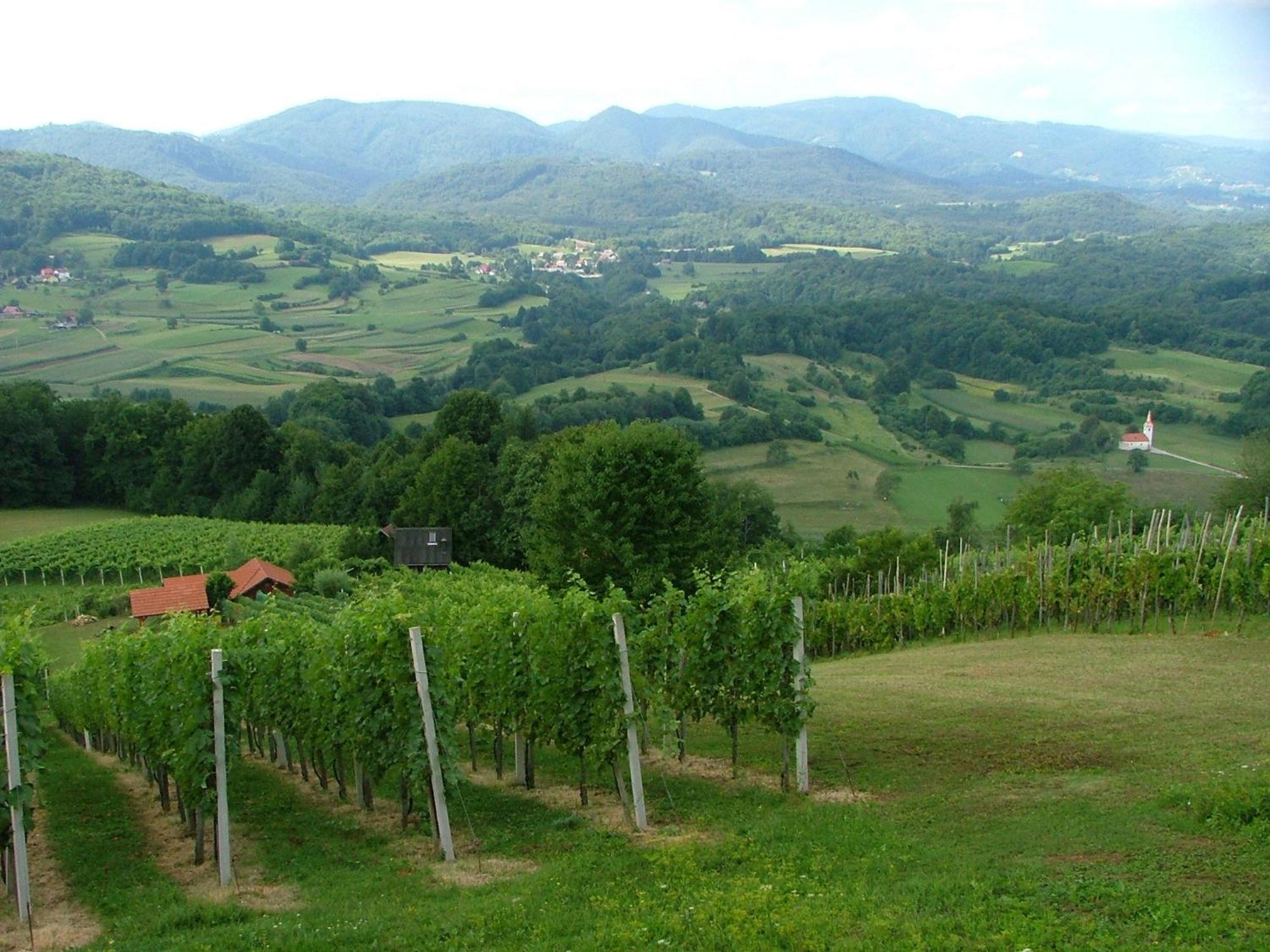 Villa Tourist Farm Pri Martinovih Krška Vas Esterno foto