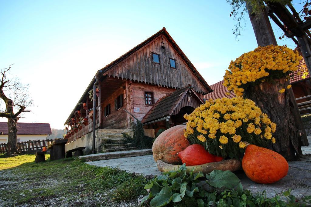 Villa Tourist Farm Pri Martinovih Krška Vas Esterno foto