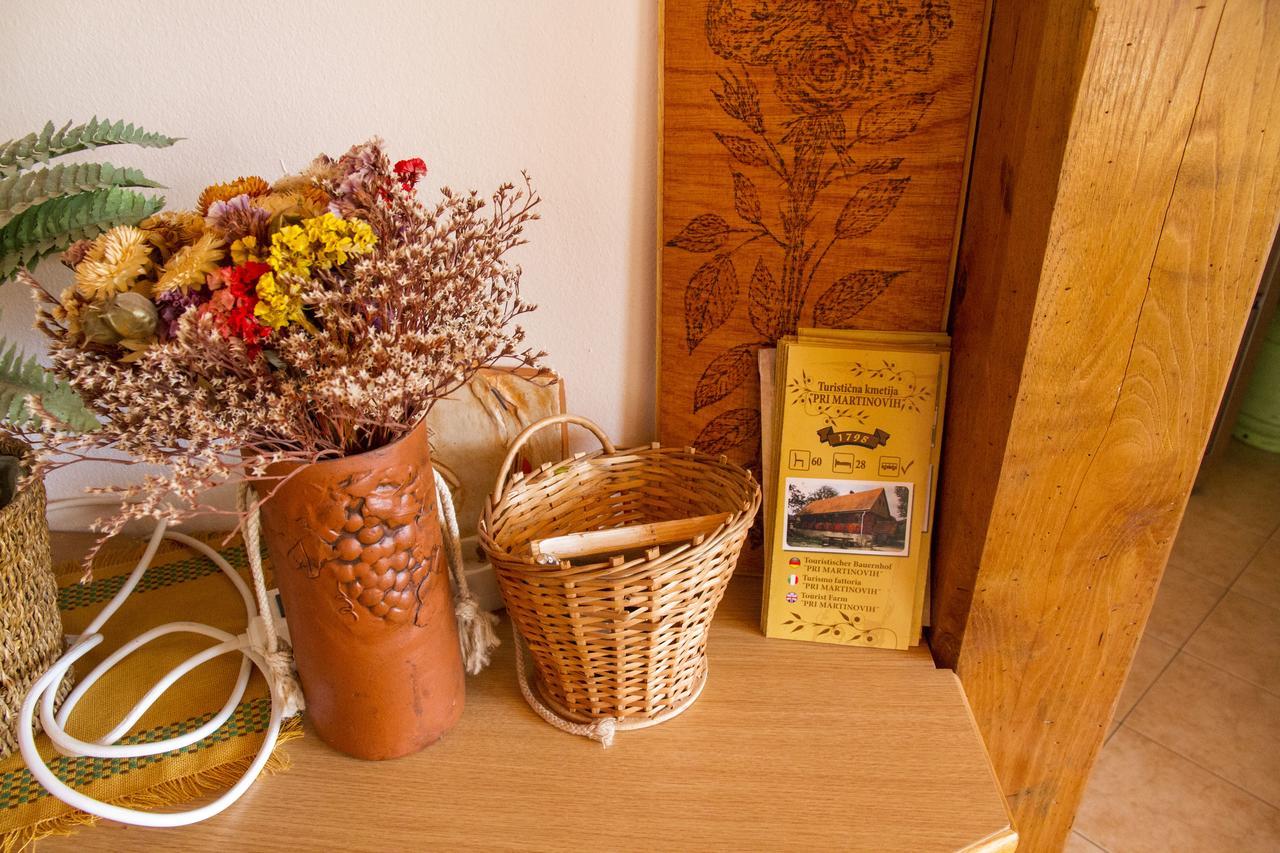 Villa Tourist Farm Pri Martinovih Krška Vas Esterno foto